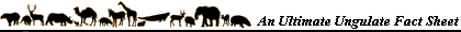 An Ultimate Ungulate Fact Sheet